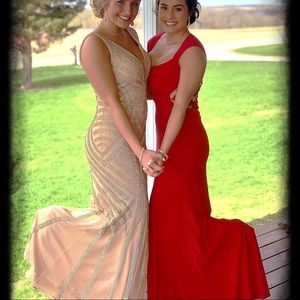 Nude/tan/beige/gold Dress